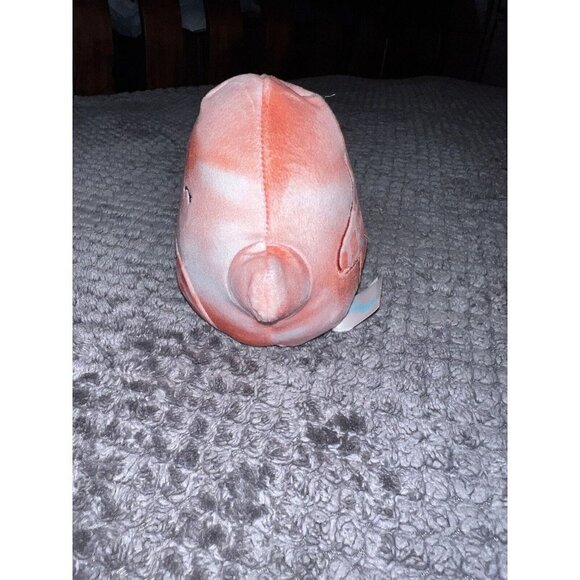 Squishmallows LIVVY the Starfish 5” Plush Toy Doll Stuffed Animal - Picture 2 of 5